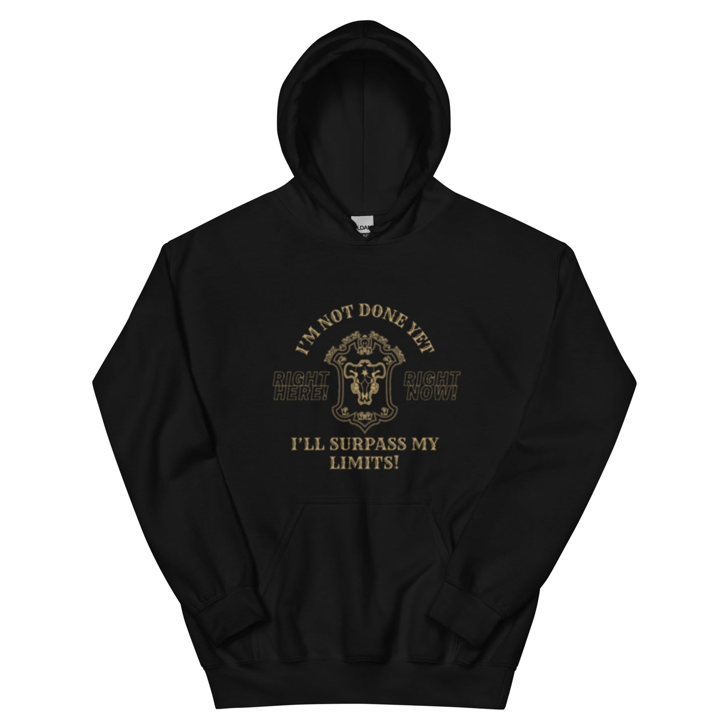 Unisex Black Bulls Motto Hoodie