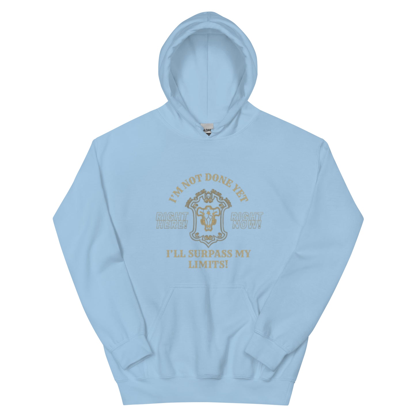 Unisex Black Bulls Motto Hoodie