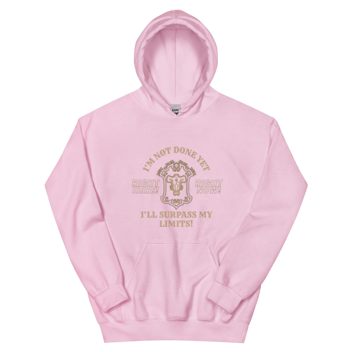 Unisex Black Bulls Motto Hoodie