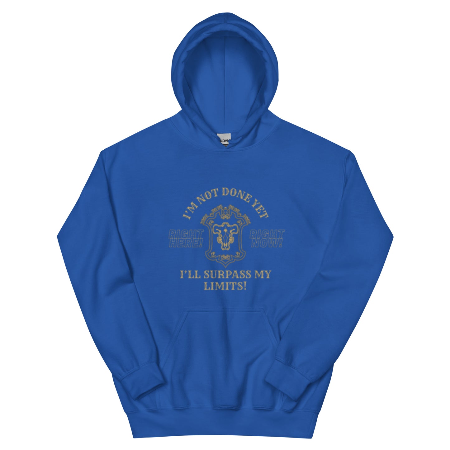 Unisex Black Bulls Motto Hoodie